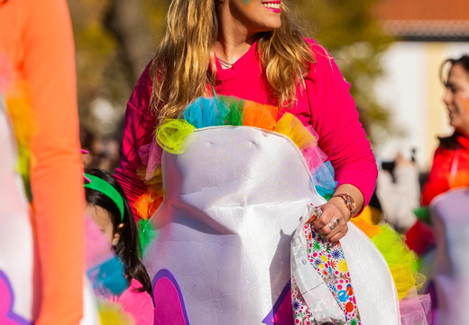 14 Carnaval das Escolas 2023 L4 5950