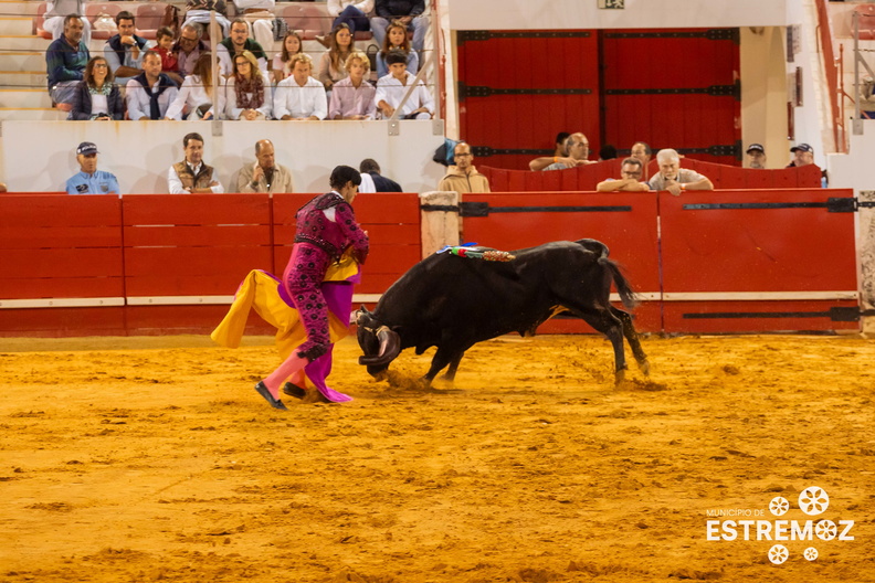   43_corrida_de_touros_festas_da_exaltacao_da_santa_cruz_2023_L4_4336.jpg