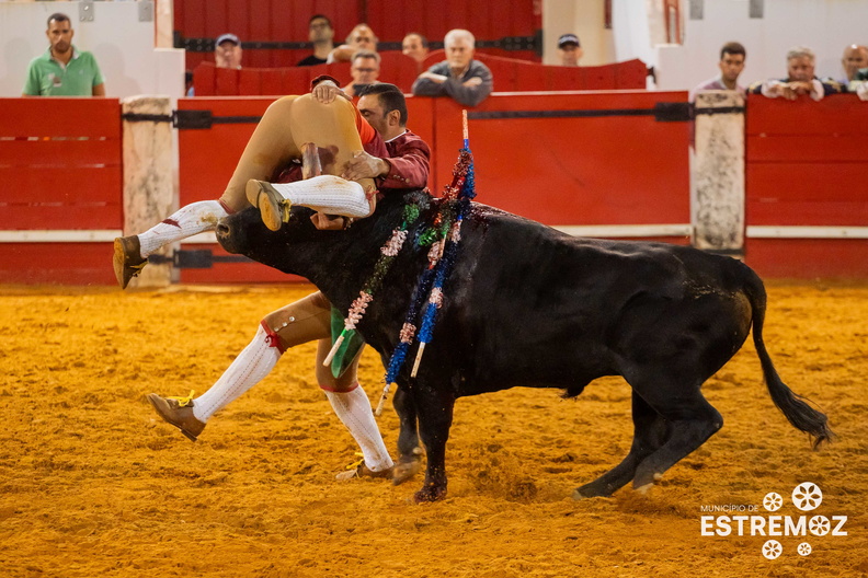   110_corrida_de_touros_festas_da_exaltacao_da_santa_cruz_2023_L4_4827.jpg