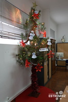 Decoração de Árvores de Natal (1)