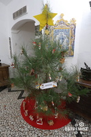 Decoração de Árvores de Natal (20)