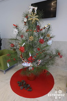 Decoração de Árvores de Natal (38)