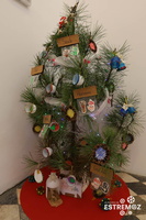 Decoração de Árvores de Natal (41)