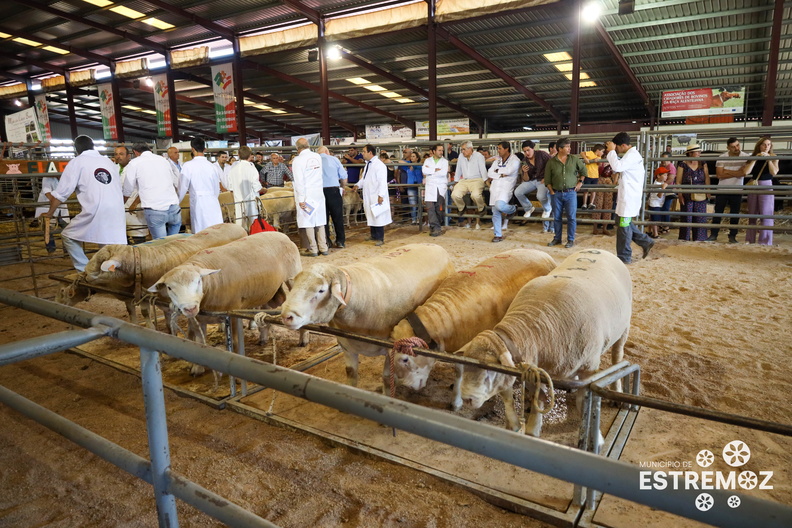 33_fiape_2023_feira_30ABR_543A8154.jpg