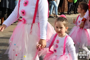 Carnaval das escolas (990) resultado