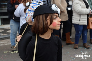 Carnaval das escolas (1453) resultado