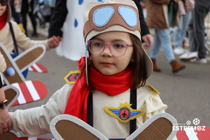 Carnaval das escolas (1488) resultado