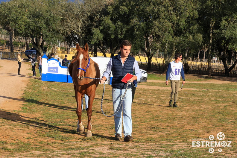 Raide Internacional Quinta do Carmo Estremoz - 15-3-2024 (20).jpg