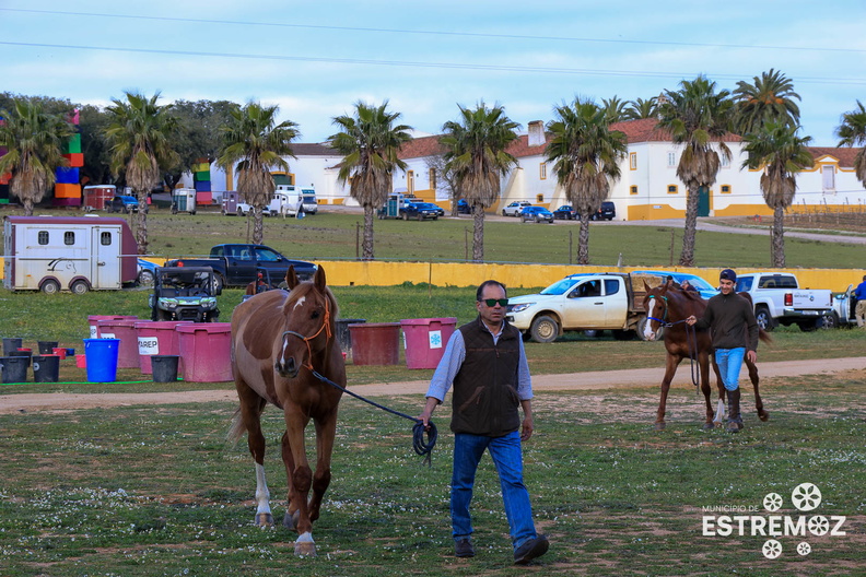 Raide Internacional Quinta do Carmo Estremoz - 15-3-2024 (26).jpg