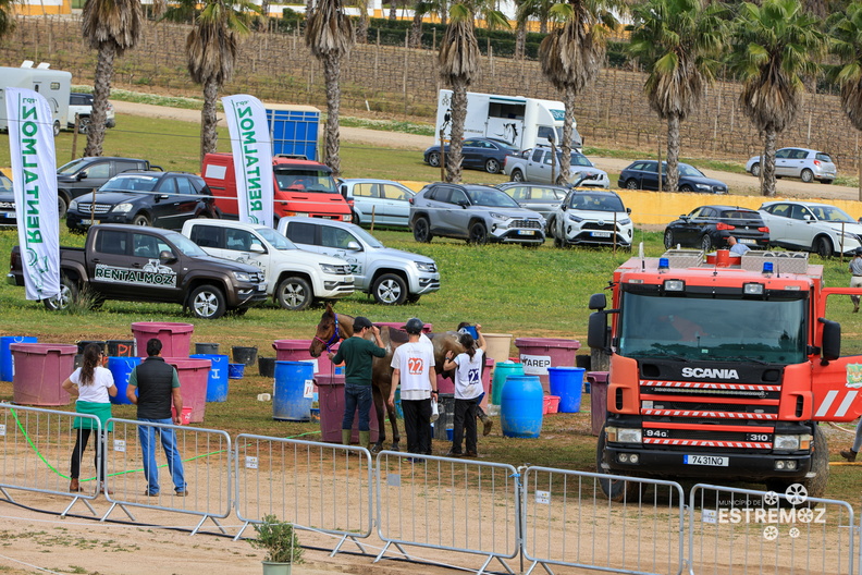 Raide Internacional Quinta do Carmo Estremoz 16-3-2024-291.jpg