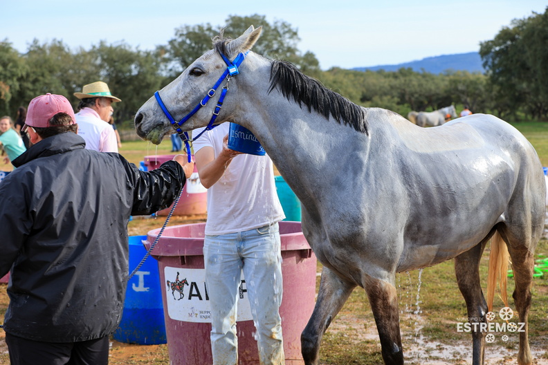 Raide Internacional Quinta do Carmo Estremoz 16-3-2024-334.jpg