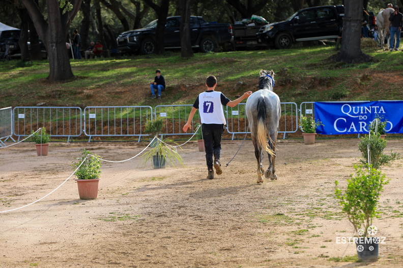 Raide Internacional Quinta do Carmo Estremoz 16-3-2024-345.jpg