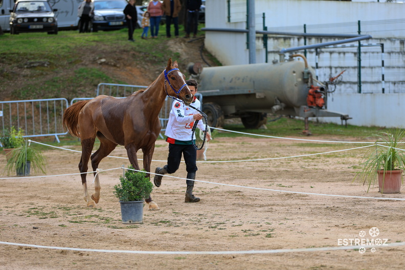 Raide Internacional Quinta do Carmo Estremoz 16-3-2024-396.jpg