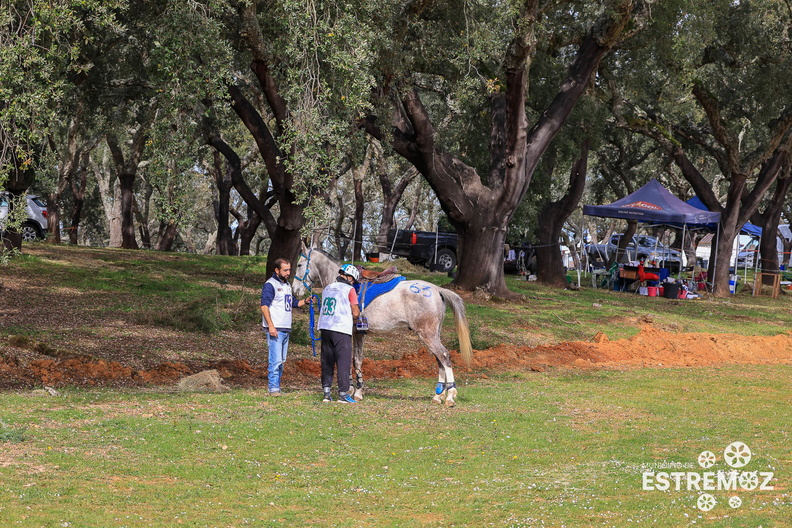 Raide Internacional Quinta do Carmo Estremoz - 17-3-2024-23.jpg