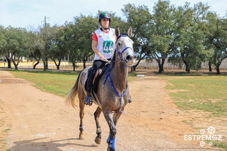 Raide Internacional Quinta do Carmo Estremoz - 17-3-2024-202.jpg