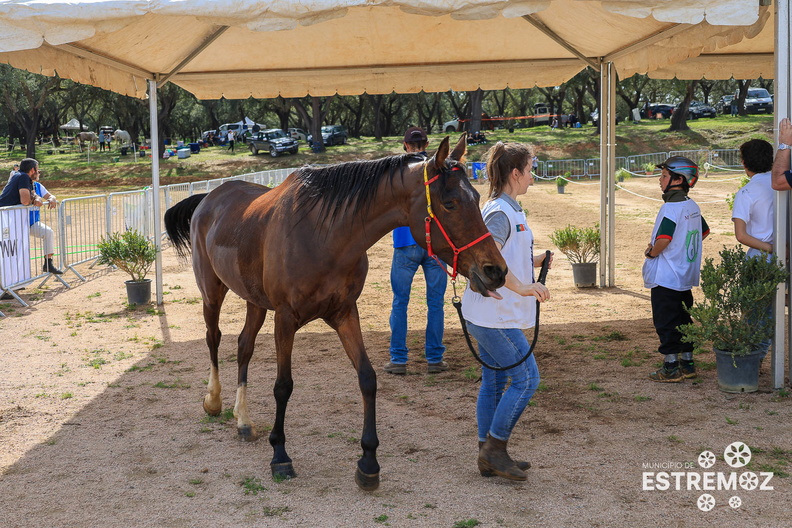 Raide Internacional Quinta do Carmo Estremoz - 17-3-2024-230.jpg