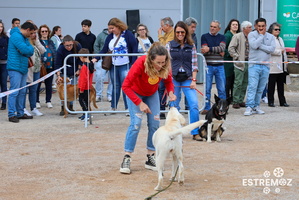 15 treino de obediencia canina e workshop 5 MAIO FIAPE 2024