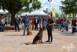 21 treino de obediencia canina e workshop 5 MAIO FIAPE 2024