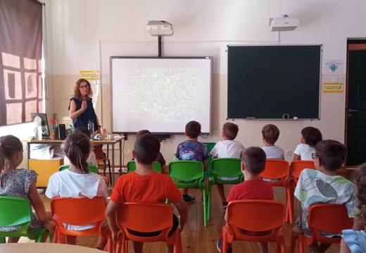 0008 estremoz ferias 2024  semana 5