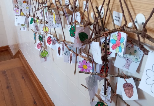 0011 estremoz ferias 2024  semana 5