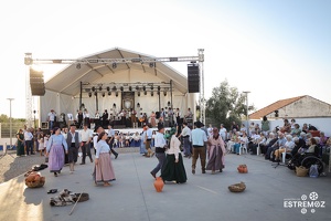 Festival folclore (224)