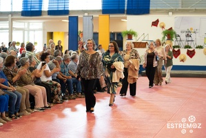 feira estremoz mais senior 3out 0067