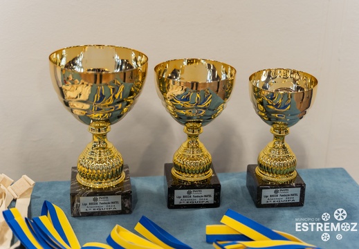 4 final torneio boccia inatel estremoz 11out2024