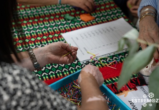 Festas da Cidade de Estremoz 2025